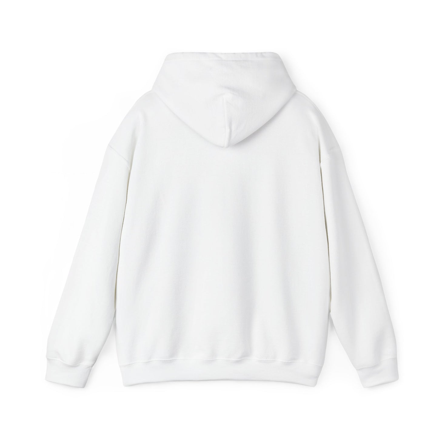 Unisex Heavy Blend Hooded Sweatshirt - Airborne - JM Door Check X 300