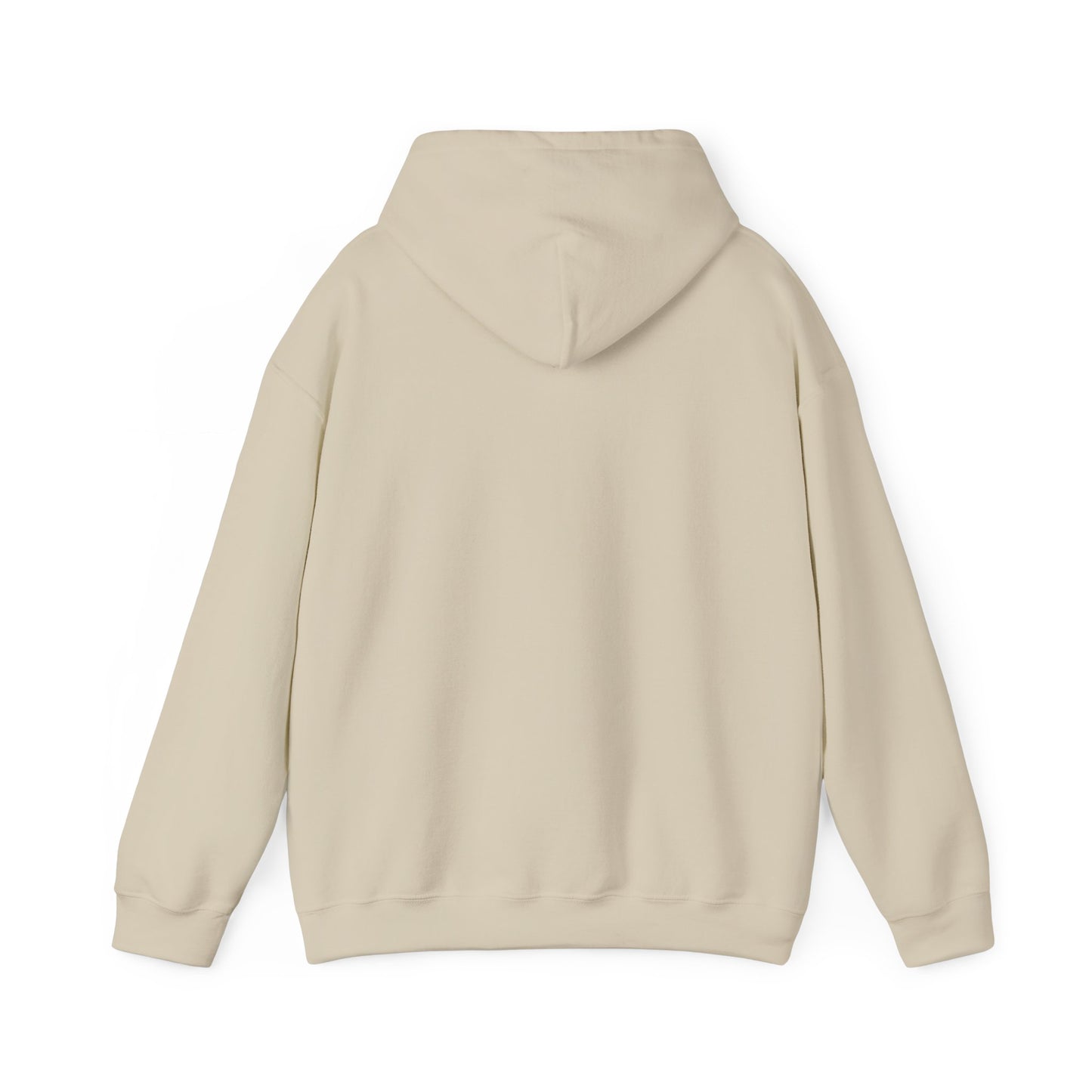 Unisex Heavy Blend Hooded Sweatshirt - Airborne - JM Door Check X 300