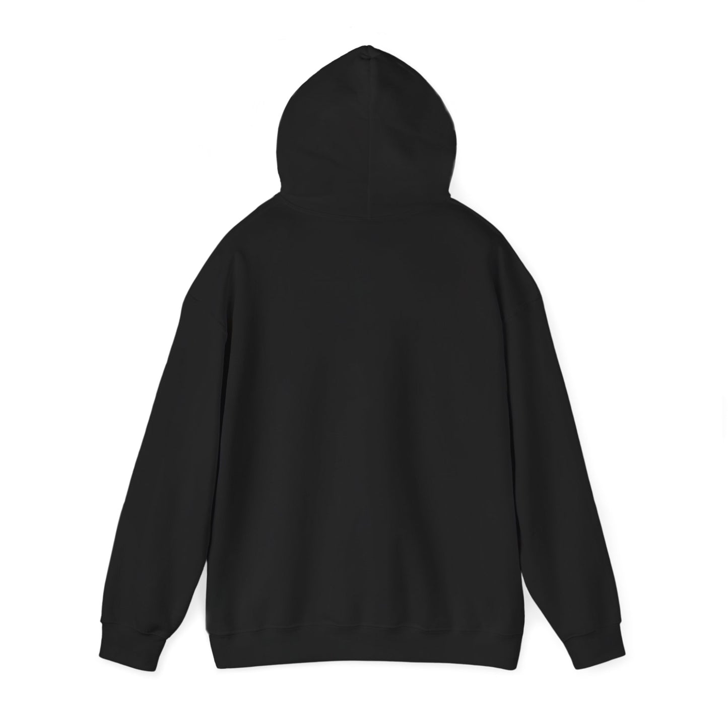 Unisex Heavy Blend Hooded Sweatshirt - Airborne - JM Door Check X 300
