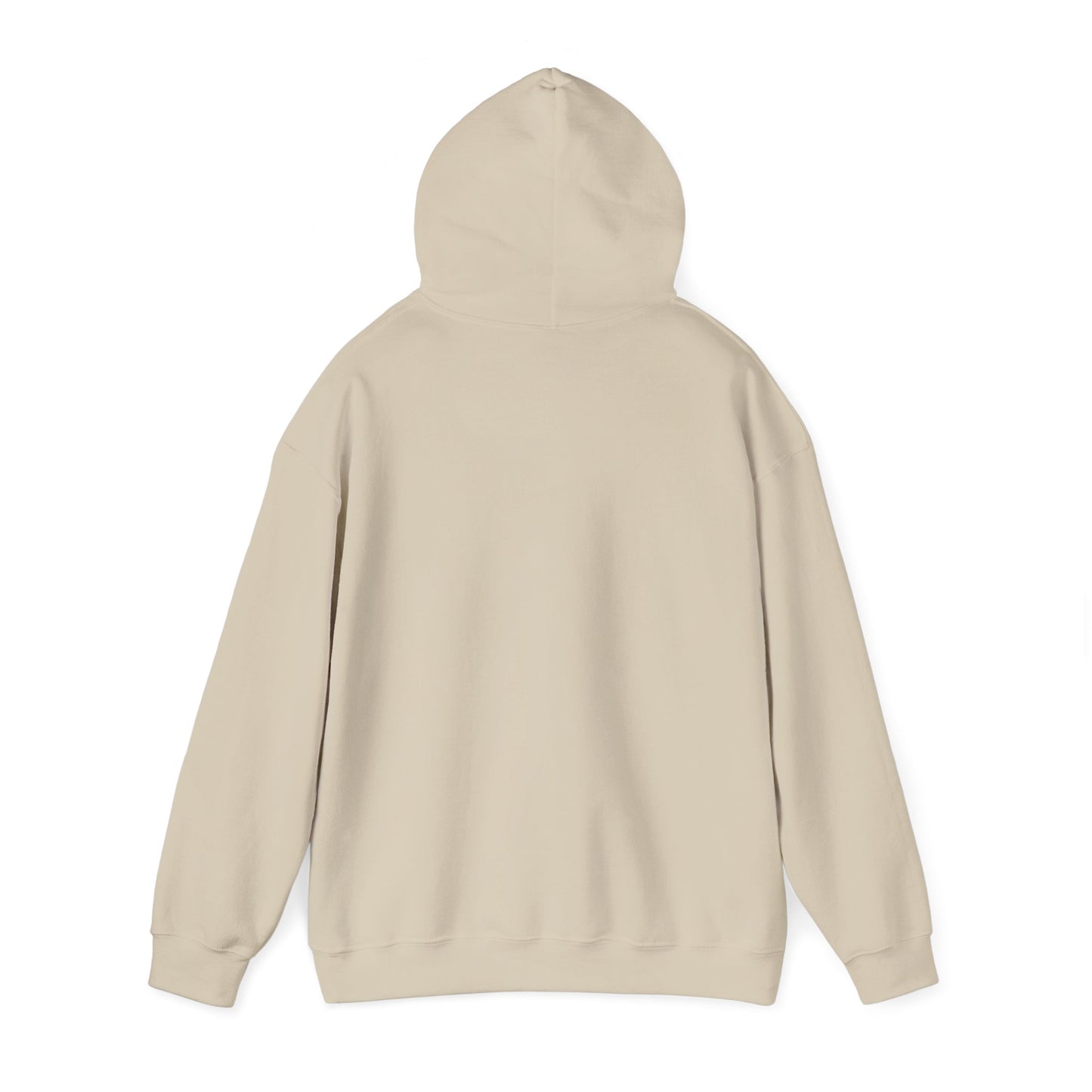 Unisex Heavy Blend Hooded Sweatshirt - Airborne - JM Door Check X 300