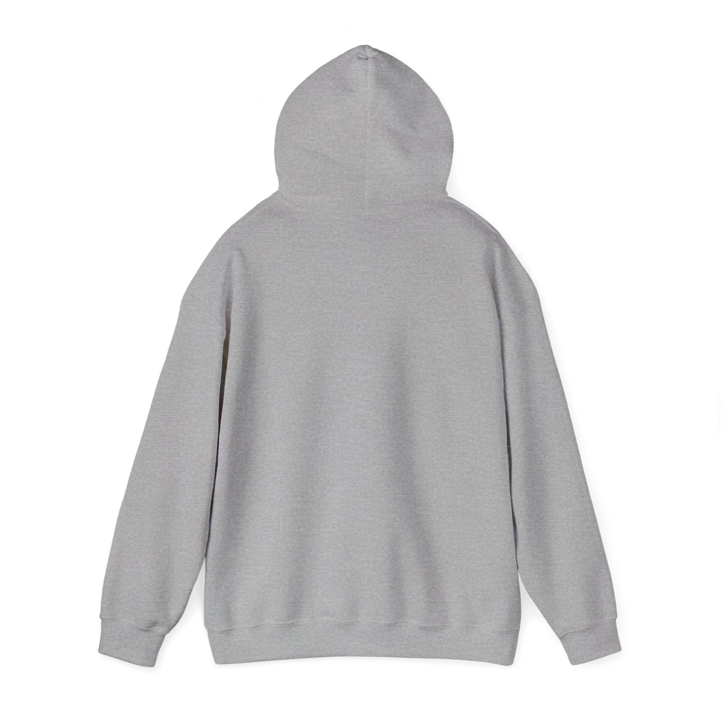 Unisex Heavy Blend Hooded Sweatshirt - Airborne - JM Door Check X 300