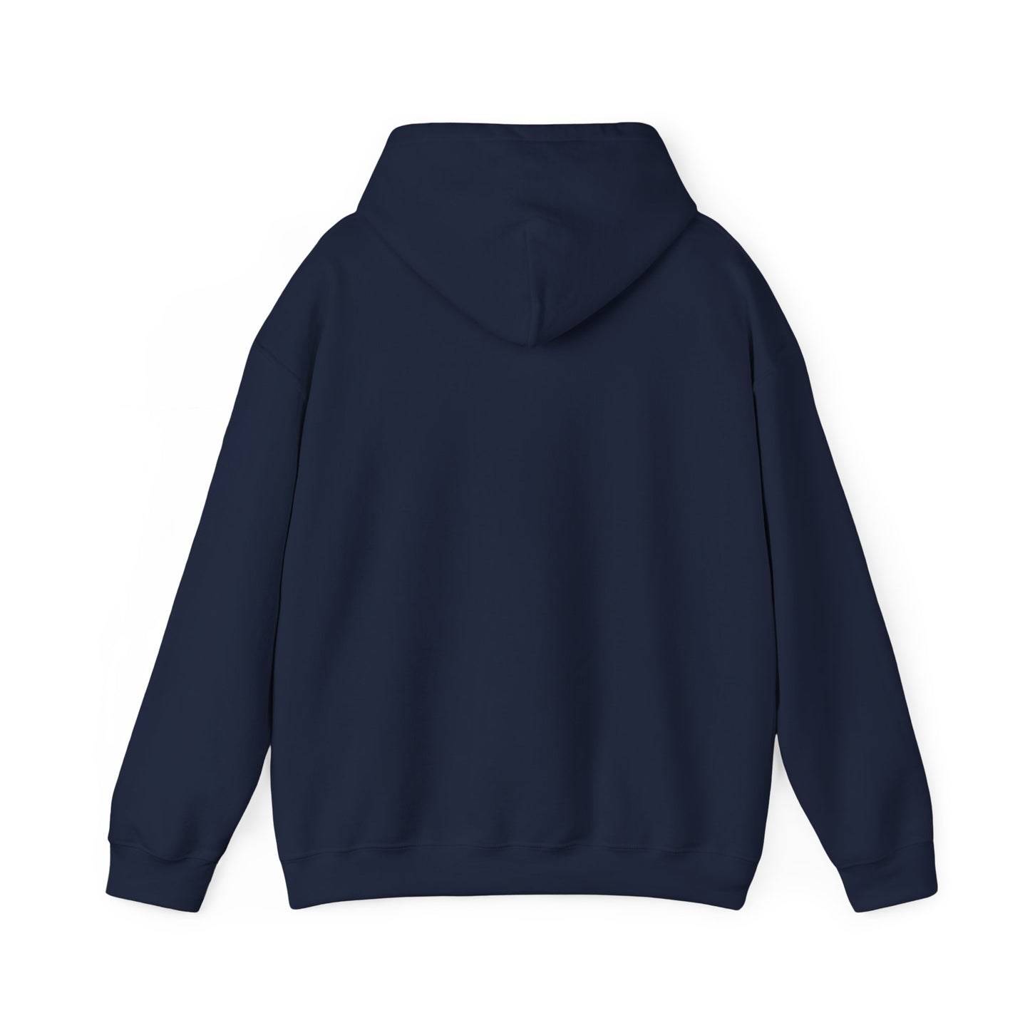 Unisex Heavy Blend Hooded Sweatshirt - Airborne - JM Door Check X 300
