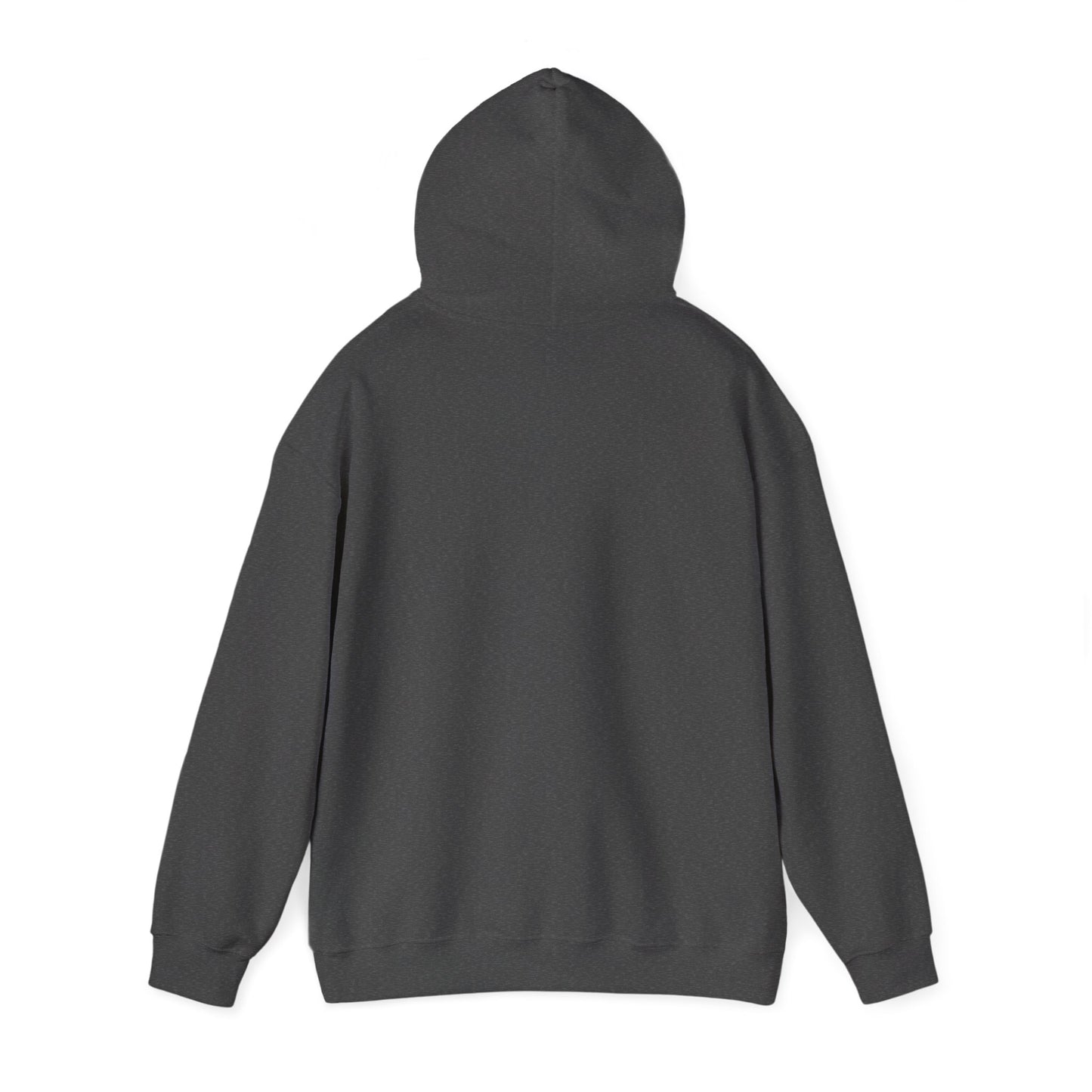 Unisex Heavy Blend Hooded Sweatshirt - Airborne - JM Door Check X 300
