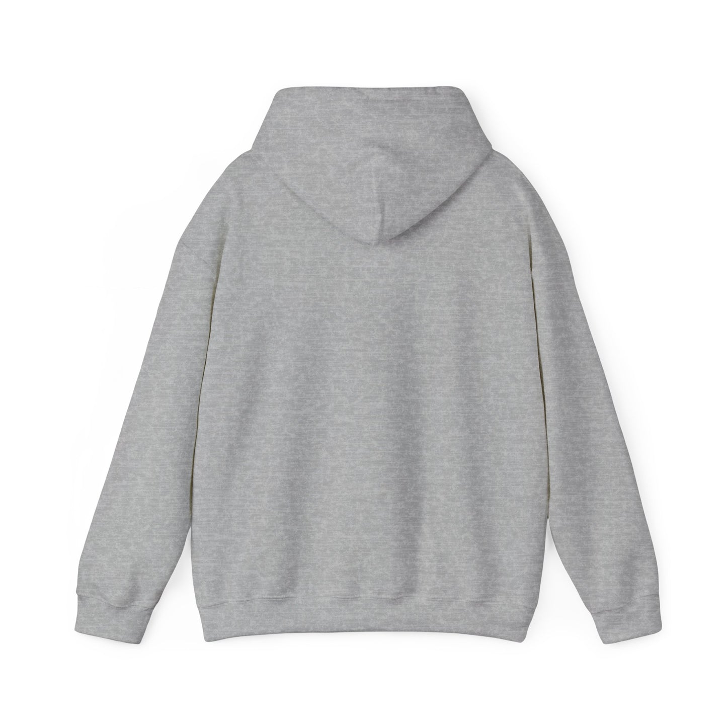 Unisex Heavy Blend Hooded Sweatshirt - Airborne - JM Door Check X 300