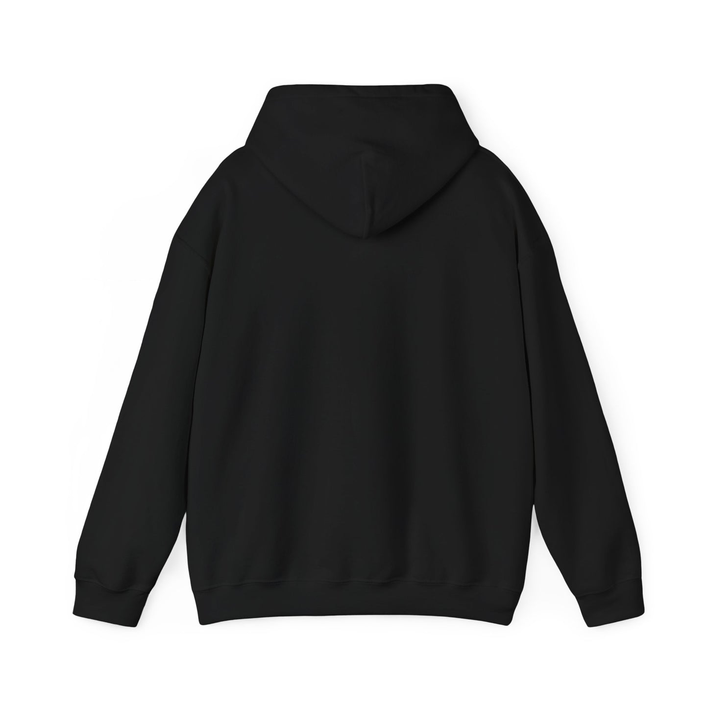 Unisex Heavy Blend Hooded Sweatshirt - Airborne - JM Door Check X 300