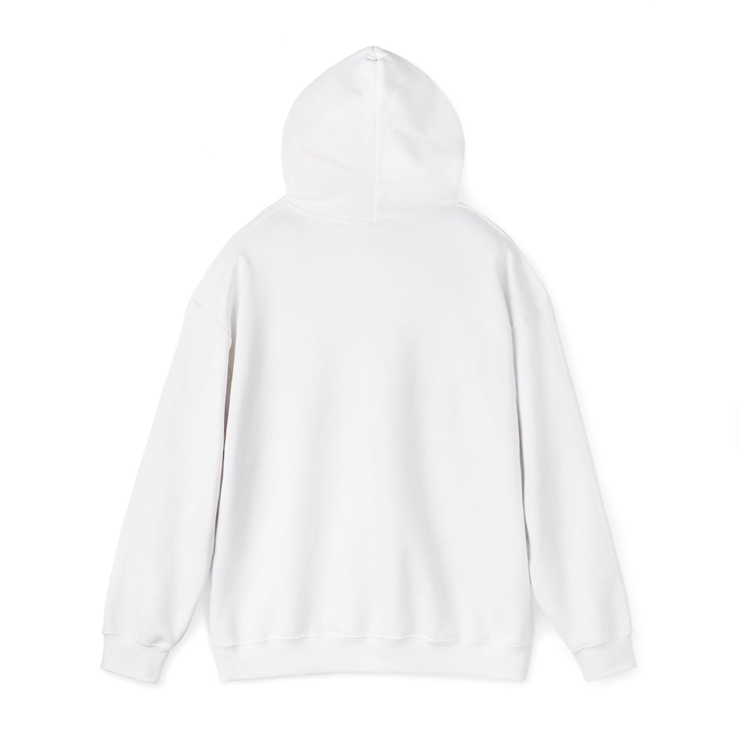 Unisex Heavy Blend Hooded Sweatshirt - Airborne - JM Door Check X 300