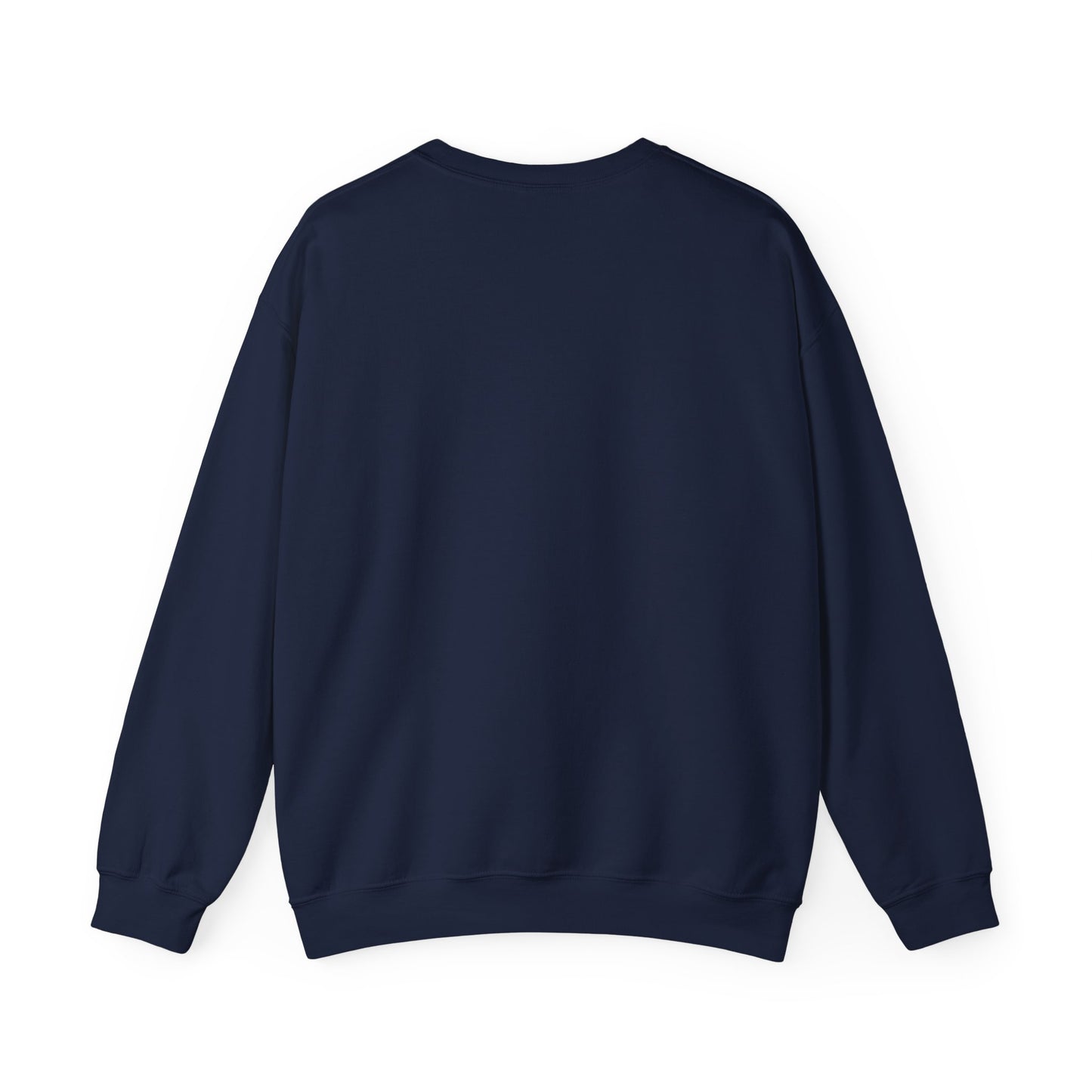 Crewneck Sweatshirt - Aircraft - A6 - GS X 300