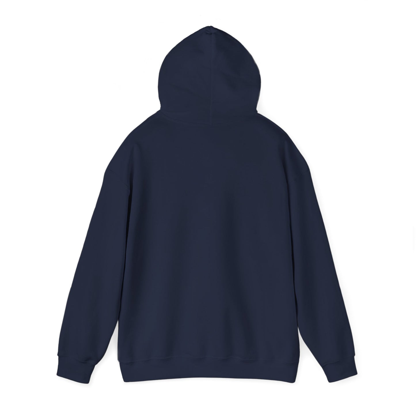 Unisex Heavy Blend Hooded Sweatshirt - Airborne - JM Door Check X 300