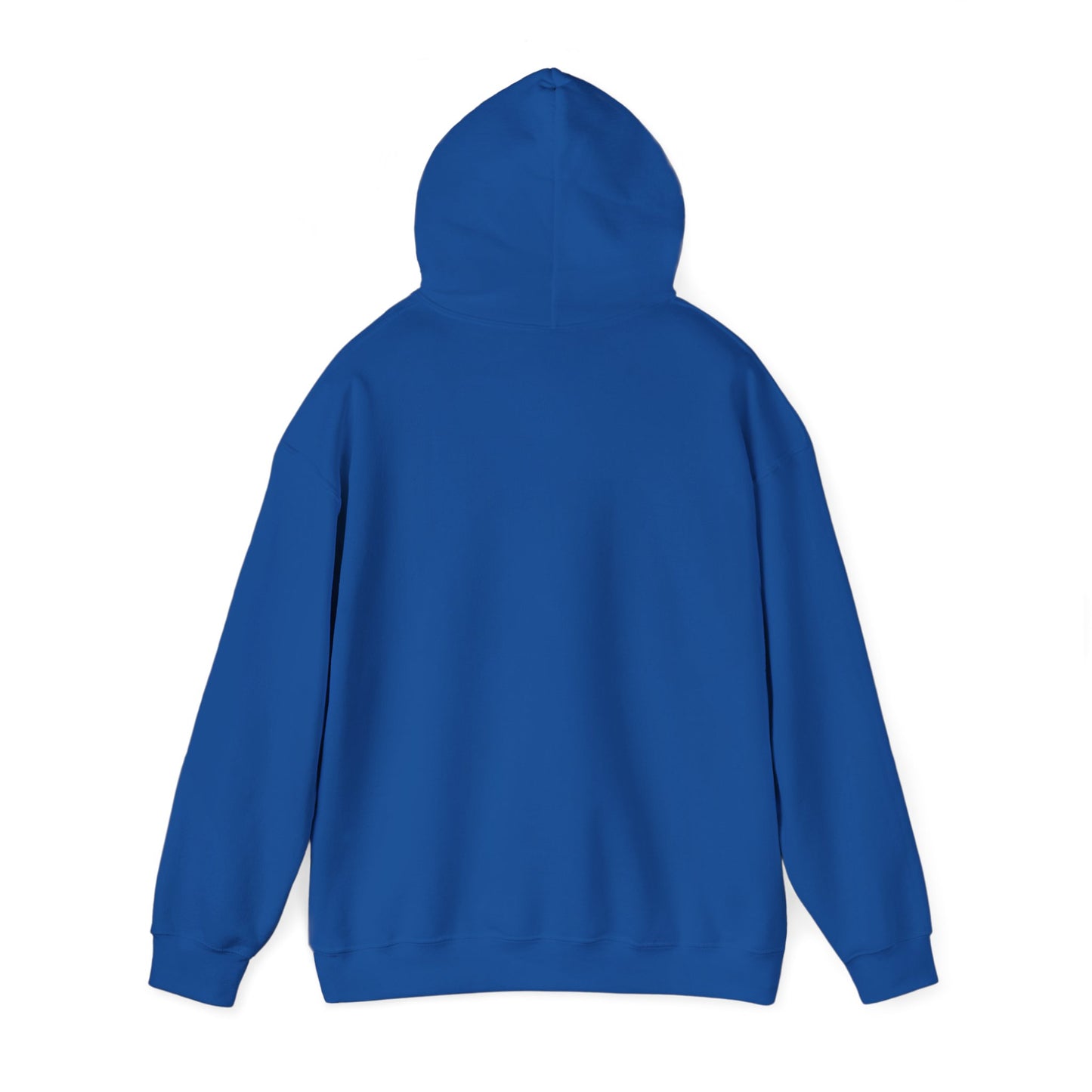 Unisex Heavy Blend Hooded Sweatshirt - Airborne - JM Door Check X 300