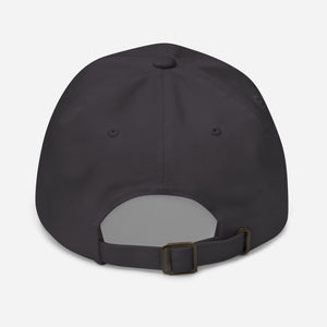 Dad hat - Warrant Officer - CW6 - Combat Veteran X 300