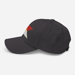 Dad hat - 4th Squadron, 11th Armored Cavalry Regiment - Guidon