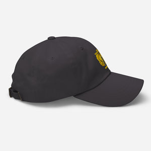 Dad hat - Emblem - Warrant Officer - CW6 - Veteran X 300