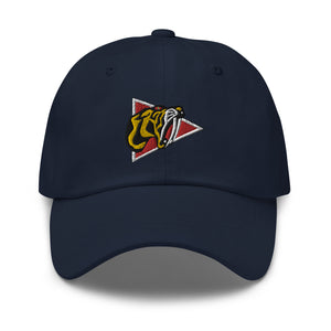 Dad hat - 450th Fighter-Day Squadron wo Txt X 300