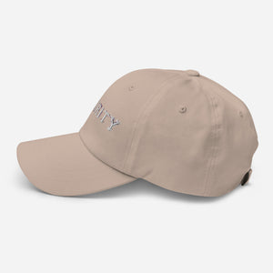 Dad hat - Security X 300