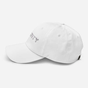 Dad hat - Security X 300