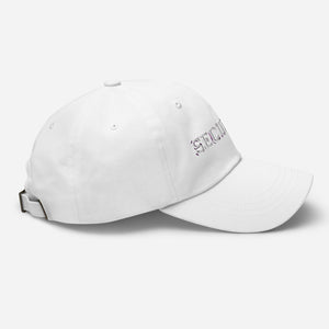 Dad hat - Security X 300