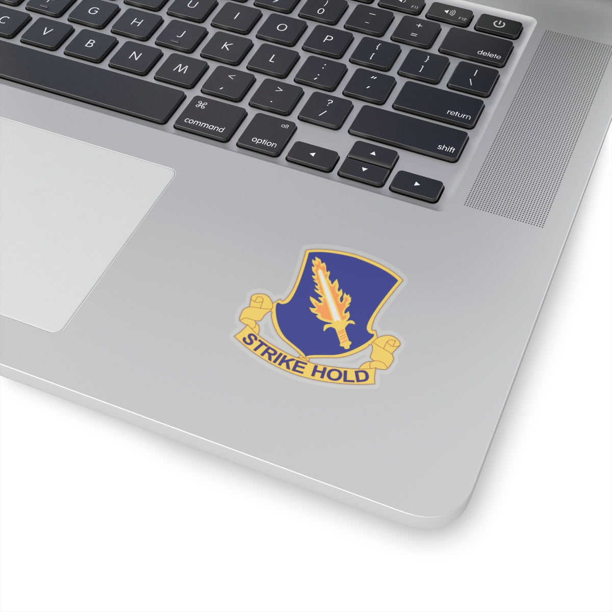 A distinctive unit insignia (DUI) featuring a blue shield with a silver parachute and a red lightning bolt, along with the text 'STRIKE HOLD'