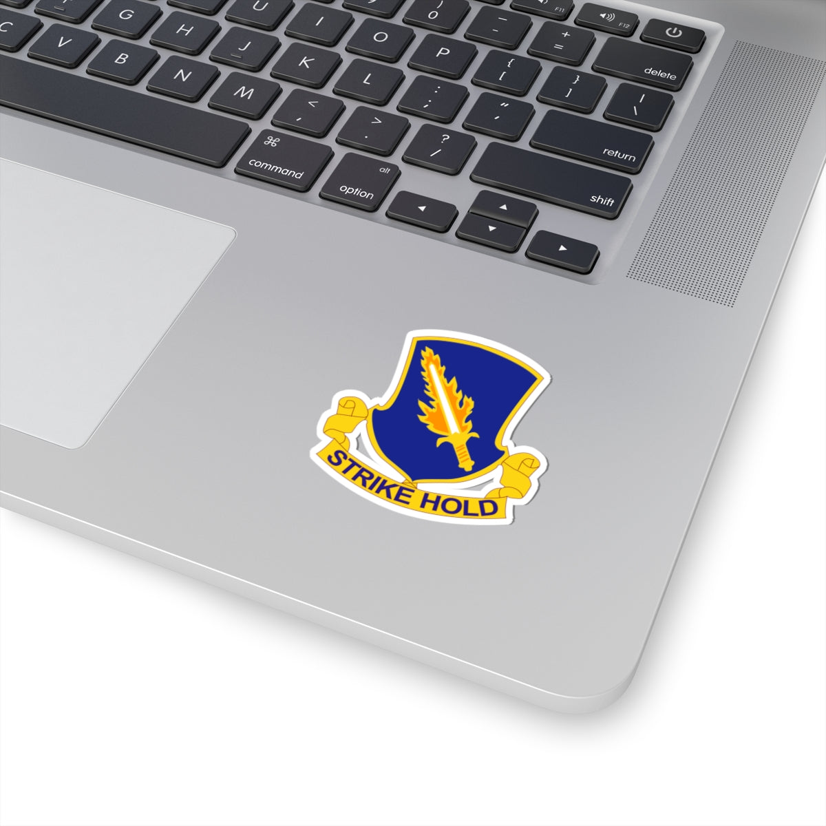 A distinctive unit insignia (DUI) featuring a blue shield with a silver parachute and a red lightning bolt, along with the text 'STRIKE HOLD'