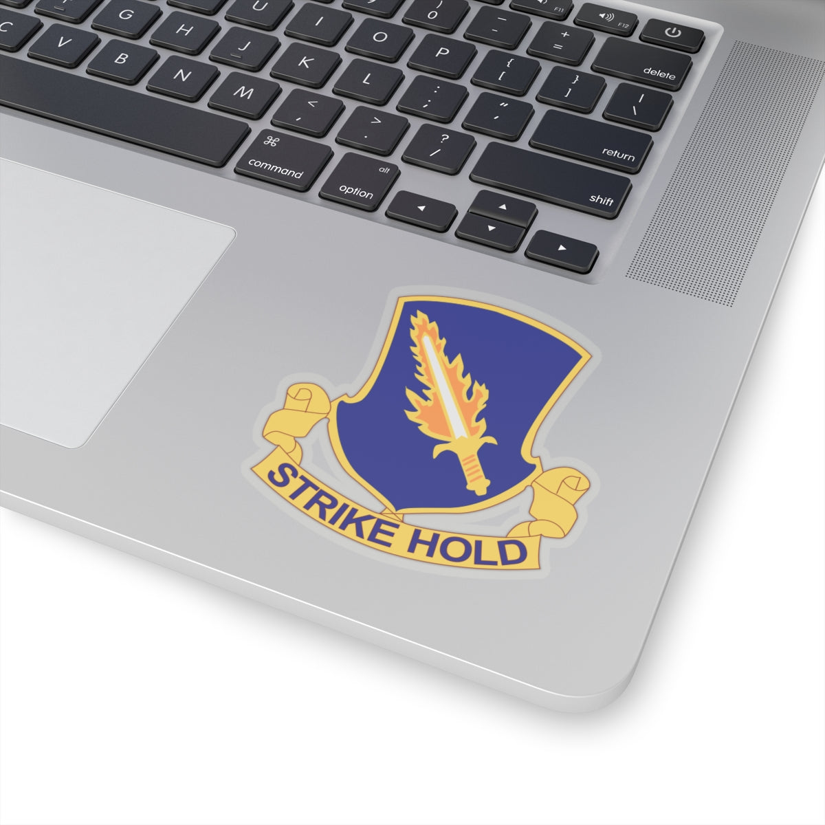 A distinctive unit insignia (DUI) featuring a blue shield with a silver parachute and a red lightning bolt, along with the text 'STRIKE HOLD'