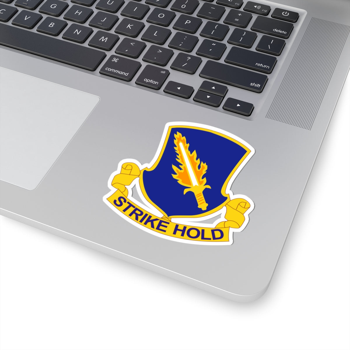 A distinctive unit insignia (DUI) featuring a blue shield with a silver parachute and a red lightning bolt, along with the text 'STRIKE HOLD'